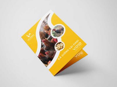 Thiết kế logo và nhận diện thương hiệu Công ty Lại Vượng